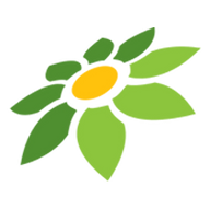 DOODSTREAM JAV